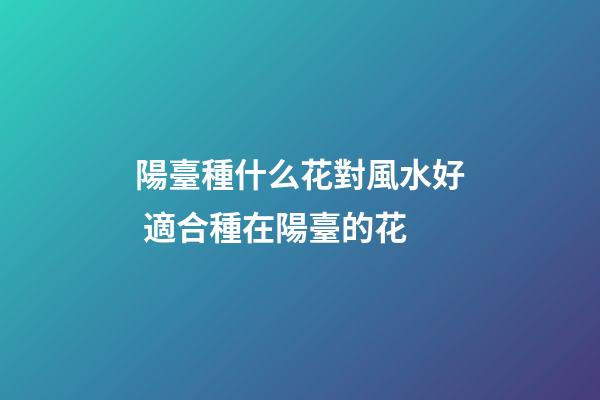 陽臺種什么花對風水好 適合種在陽臺的花